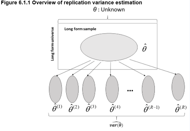 Figure 6.1.1 Overview of replication variance estimation